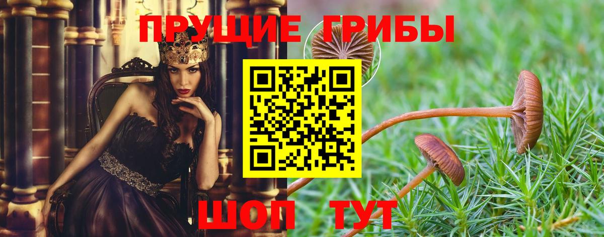 Галлюциногенные грибы Cubensis  Галлюциногенные грибы ЛСД  Вход с VPN  Магнитогорск 
